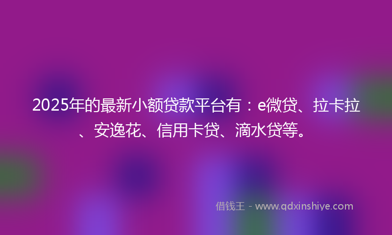 2025年的最新小额贷款平台有：e微贷、拉卡拉、安逸花、信用卡贷、滴水贷等。