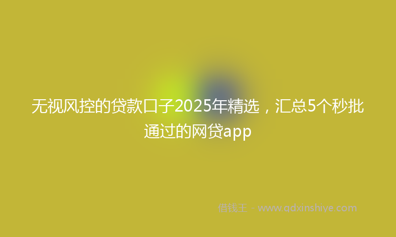 无视风控的贷款口子2025年精选，汇总5个秒批通过的网贷app