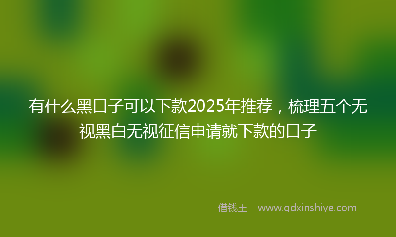 有什么黑口子可以下款2025年推荐，梳理五个无视黑白无视征信申请就下款的口子