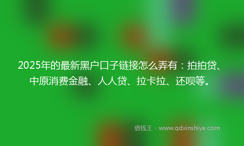 2025年的最新黑户口子链接怎么弄有：拍拍贷、中原消费金融、人人贷、拉卡拉、还呗等。