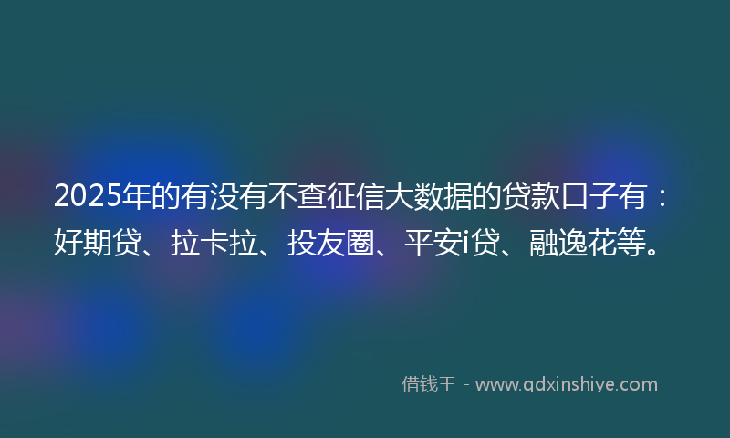 2025年的有没有不查征信大数据的贷款口子有：好期贷、拉卡拉、投友圈、平安i贷、融逸花等。