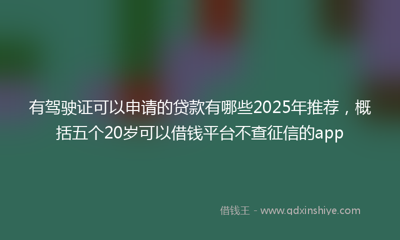 有驾驶证可以申请的贷款有哪些2025年推荐，概括五个20岁可以借钱平台不查征信的app