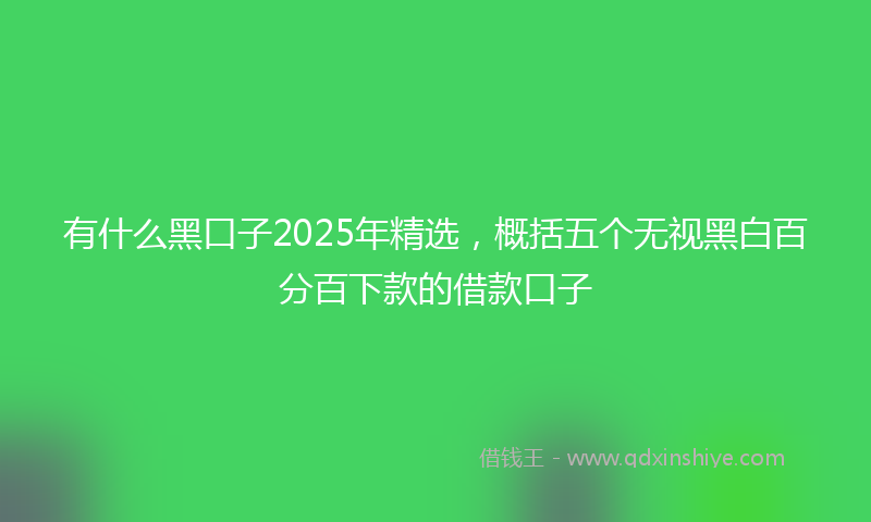 有什么黑口子2025年精选，概括五个无视黑白百分百下款的借款口子