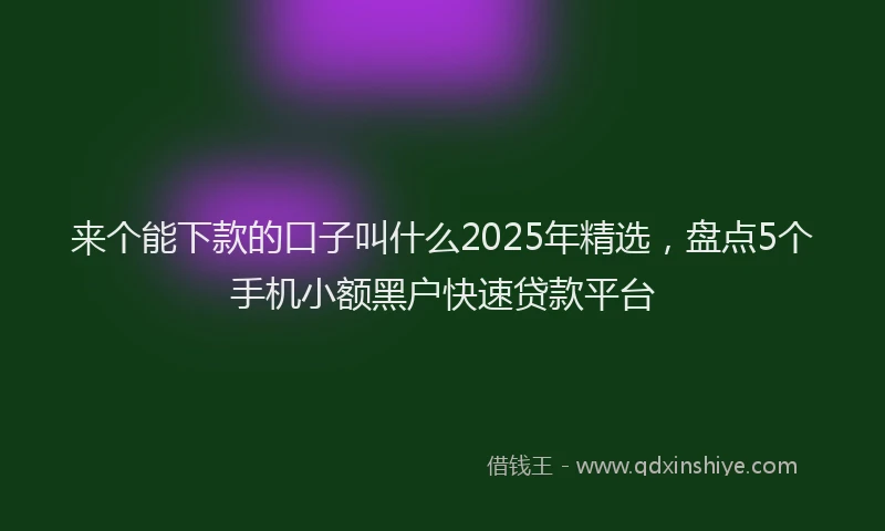 来个能下款的口子叫什么2025年精选，盘点5个手机小额黑户快速贷款平台