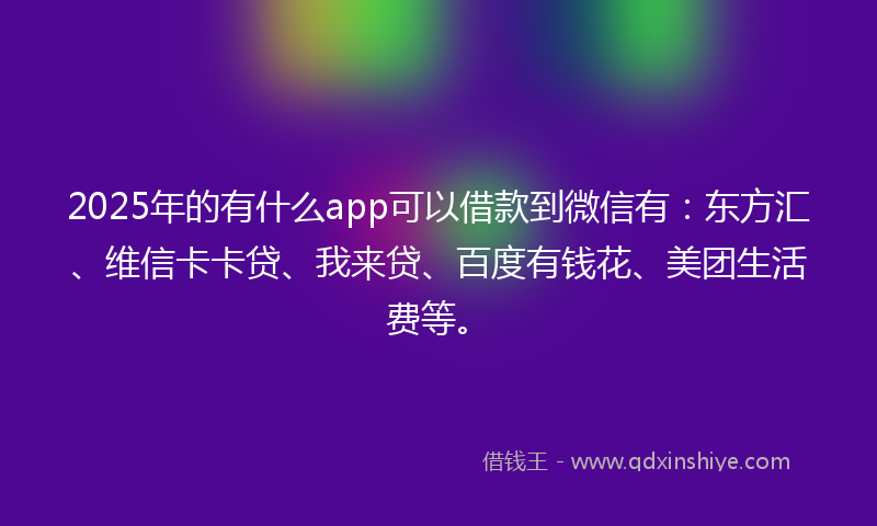 2025年的有什么app可以借款到微信有：东方汇、维信卡卡贷、我来贷、百度有钱花、美团生活费等。
