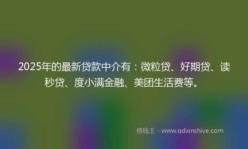 2025年的最新贷款中介有：微粒贷、好期贷、读秒贷、度小满金融、美团生活费等。