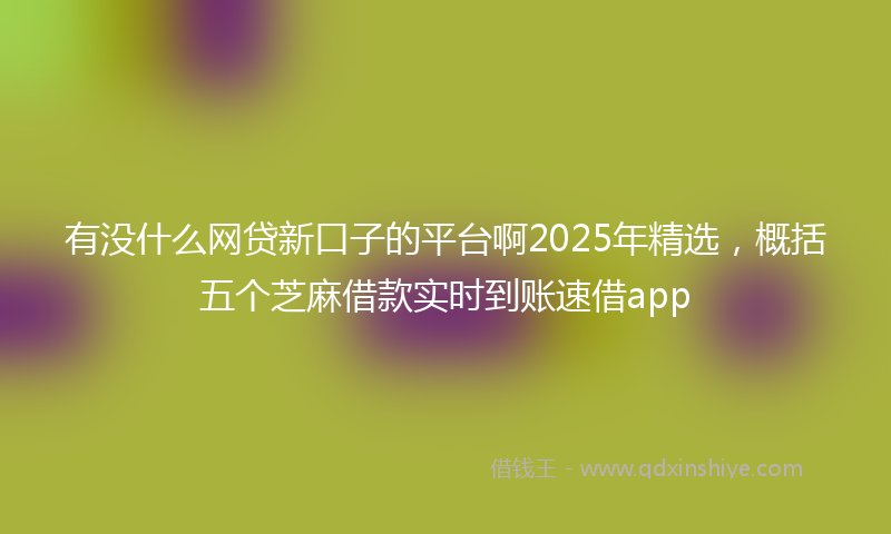 有没什么网贷新口子的平台啊2025年精选，概括五个芝麻借款实时到账速借app
