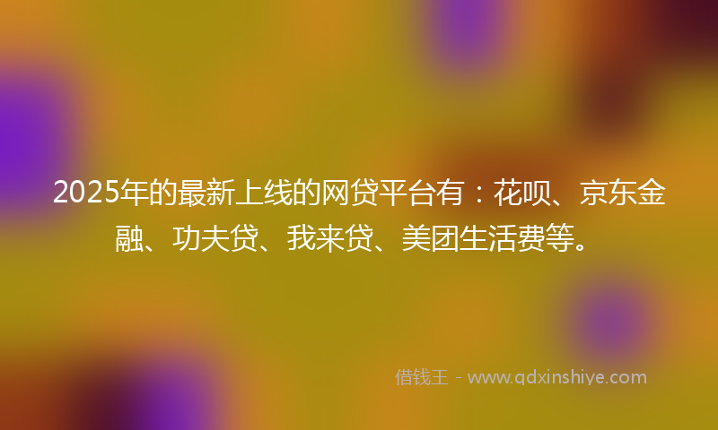 2025年的最新上线的网贷平台有：花呗、京东金融、功夫贷、我来贷、美团生活费等。