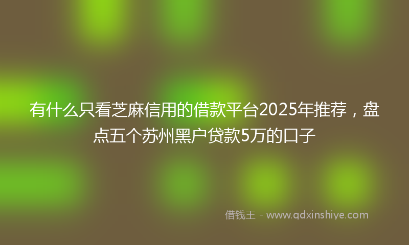 有什么只看芝麻信用的借款平台2025年推荐，盘点五个苏州黑户贷款5万的口子