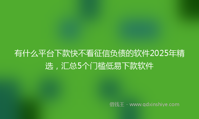 有什么平台下款快不看征信负债的软件2025年精选，汇总5个门槛低易下款软件