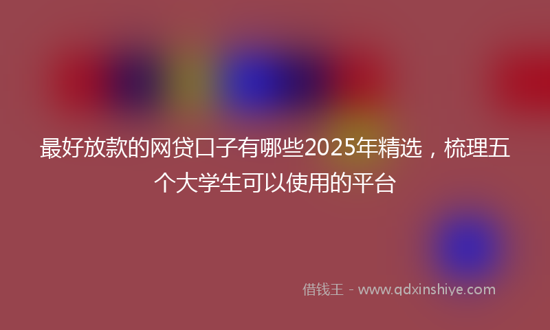 最好放款的网贷口子有哪些2025年精选，梳理五个大学生可以使用的平台