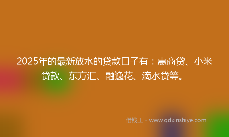 2025年的最新放水的贷款口子有：惠商贷、小米贷款、东方汇、融逸花、滴水贷等。