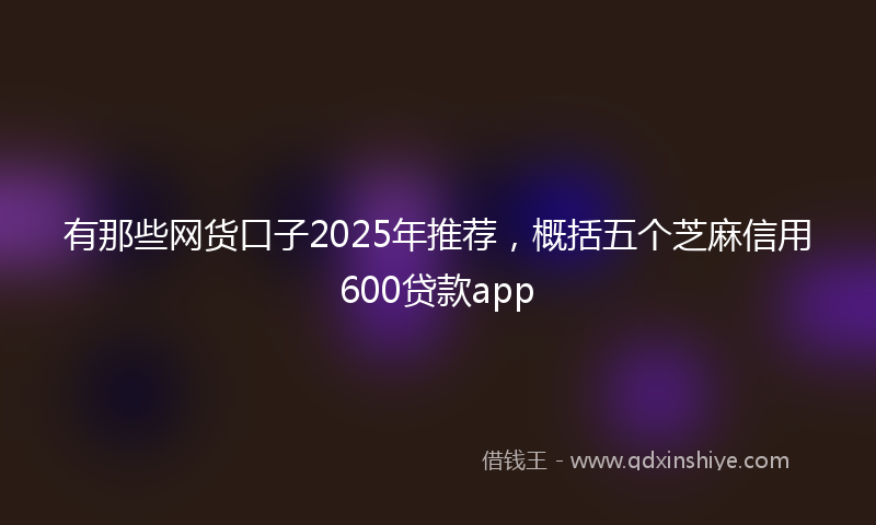 有那些网货口子2025年推荐，概括五个芝麻信用600贷款app