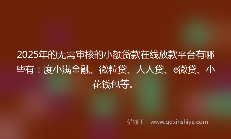 2025年的无需审核的小额贷款在线放款平台有哪些有：度小满金融、微粒贷、人人贷、e微贷、小花钱包等。