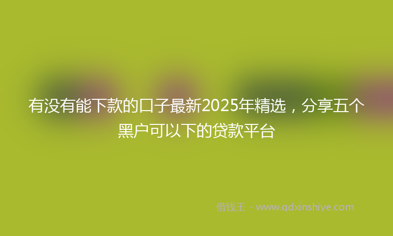 有没有能下款的口子最新2025年精选，分享五个黑户可以下的贷款平台