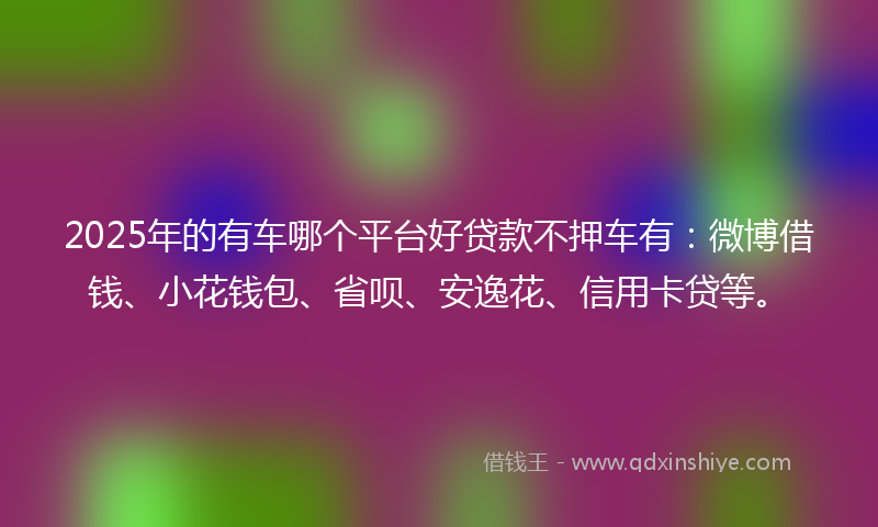 2025年的有车哪个平台好贷款不押车有：微博借钱、小花钱包、省呗、安逸花、信用卡贷等。