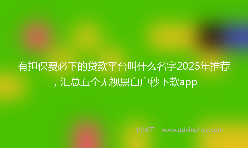 有担保费必下的贷款平台叫什么名字2025年推荐，汇总五个无视黑白户秒下款app