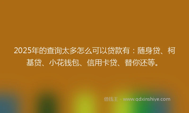 2025年的查询太多怎么可以贷款有：随身贷、柯基贷、小花钱包、信用卡贷、替你还等。