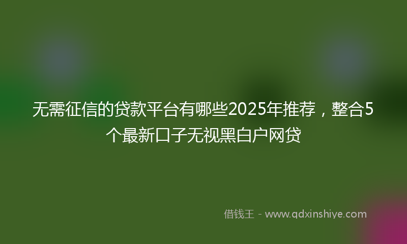 无需征信的贷款平台有哪些2025年推荐，整合5个最新口子无视黑白户网贷