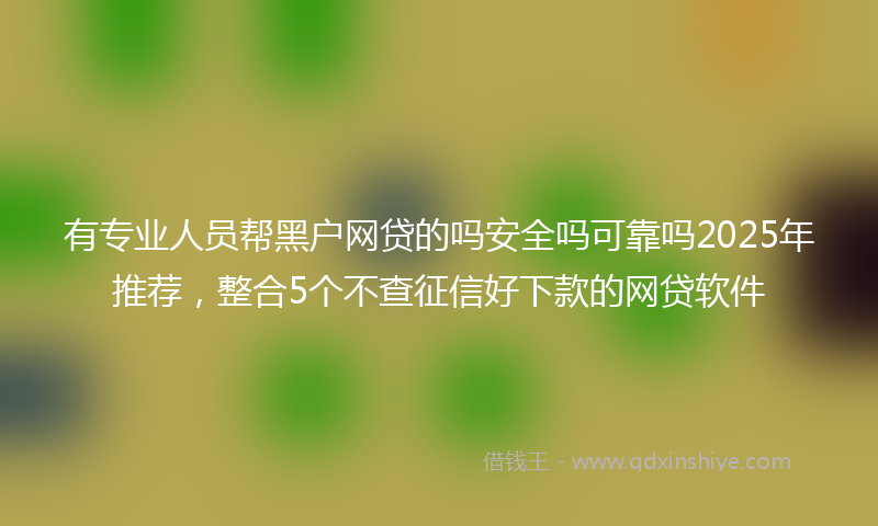 有专业人员帮黑户网贷的吗安全吗可靠吗2025年推荐，整合5个不查征信好下款的网贷软件