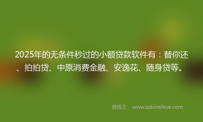 2025年的无条件秒过的小额贷款软件有：替你还、拍拍贷、中原消费金融、安逸花、随身贷等。