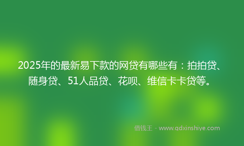 2025年的最新易下款的网贷有哪些有：拍拍贷、随身贷、51人品贷、花呗、维信卡卡贷等。
