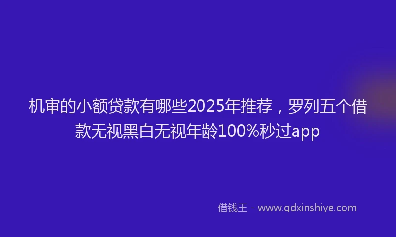 机审的小额贷款有哪些2025年推荐，罗列五个借款无视黑白无视年龄100%秒过app