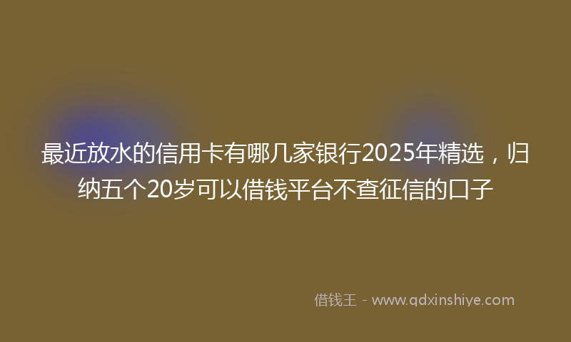 最近放水的信用卡有哪几家银行2025年精选，归纳五个20岁可以借钱平台不查征信的口子