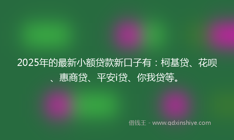 2025年的最新小额贷款新口子有：柯基贷、花呗、惠商贷、平安i贷、你我贷等。