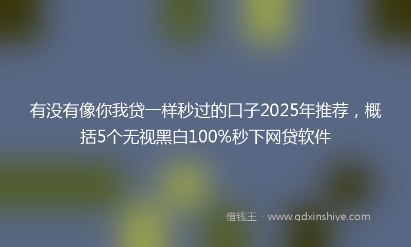 有没有像你我贷一样秒过的口子2025年推荐，概括5个无视黑白100%秒下网贷软件