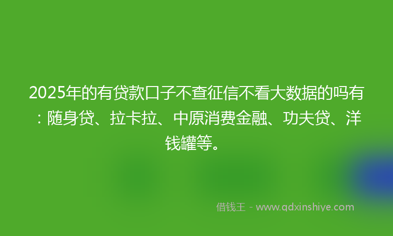 2025年的有贷款口子不查征信不看大数据的吗有：随身贷、拉卡拉、中原消费金融、功夫贷、洋钱罐等。