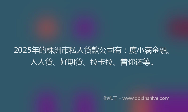 2025年的株洲市私人贷款公司有：度小满金融、人人贷、好期贷、拉卡拉、替你还等。