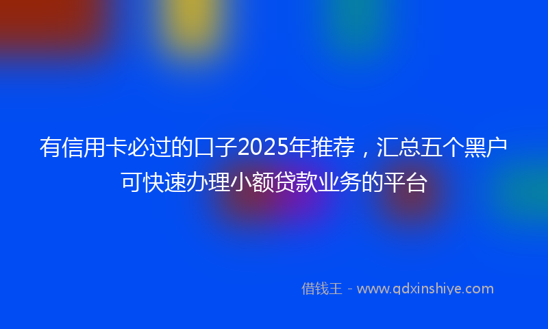 有信用卡必过的口子2025年推荐，汇总五个黑户可快速办理小额贷款业务的平台