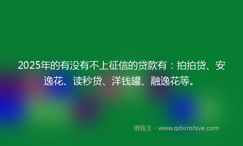 2025年的有没有不上征信的贷款有：拍拍贷、安逸花、读秒贷、洋钱罐、融逸花等。
