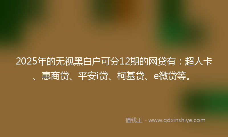 2025年的无视黑白户可分12期的网贷有：超人卡、惠商贷、平安i贷、柯基贷、e微贷等。
