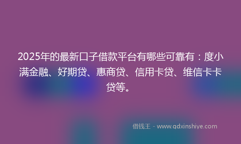 2025年的最新口子借款平台有哪些可靠有：度小满金融、好期贷、惠商贷、信用卡贷、维信卡卡贷等。