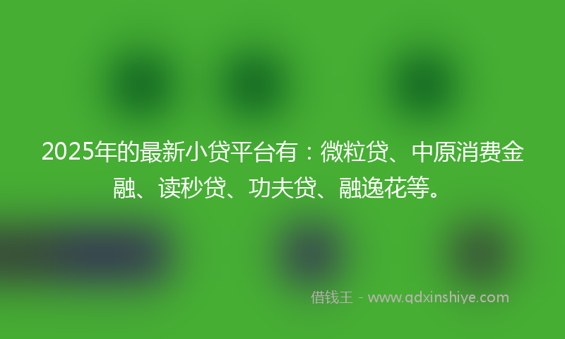 2025年的最新小贷平台有：微粒贷、中原消费金融、读秒贷、功夫贷、融逸花等。