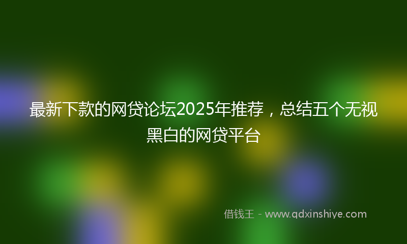 最新下款的网贷论坛2025年推荐，总结五个无视黑白的网贷平台