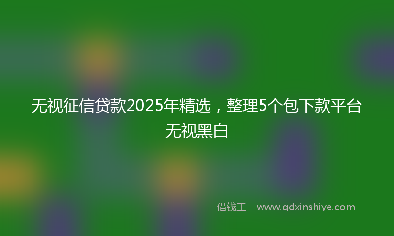 无视征信贷款2025年精选，整理5个包下款平台无视黑白