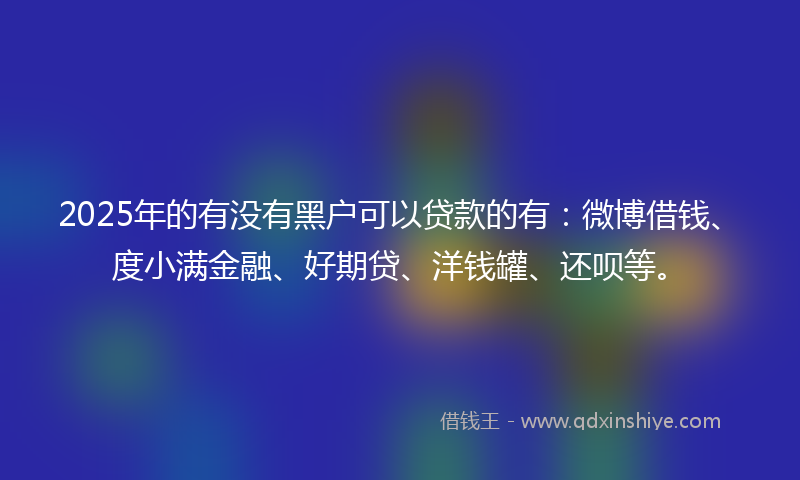 2025年的有没有黑户可以贷款的有：微博借钱、度小满金融、好期贷、洋钱罐、还呗等。
