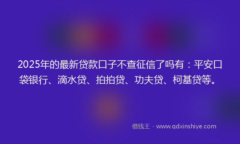 2025年的最新贷款口子不查征信了吗有：平安口袋银行、滴水贷、拍拍贷、功夫贷、柯基贷等。
