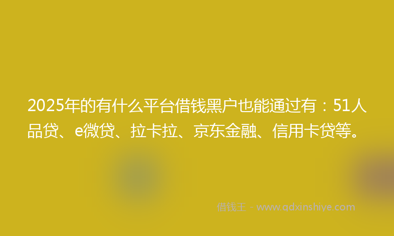 2025年的有什么平台借钱黑户也能通过有：51人品贷、e微贷、拉卡拉、京东金融、信用卡贷等。