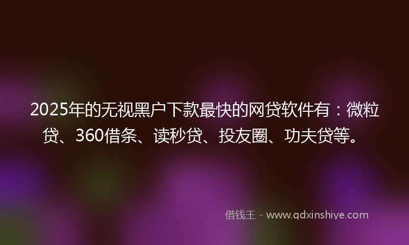 2025年的无视黑户下款最快的网贷软件有：微粒贷、360借条、读秒贷、投友圈、功夫贷等。