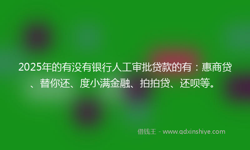 2025年的有没有银行人工审批贷款的有：惠商贷、替你还、度小满金融、拍拍贷、还呗等。