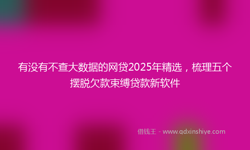 有没有不查大数据的网贷2025年精选，梳理五个摆脱欠款束缚贷款新软件