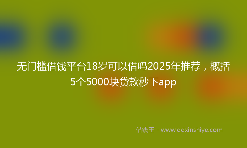 无门槛借钱平台18岁可以借吗2025年推荐，概括5个5000块贷款秒下app