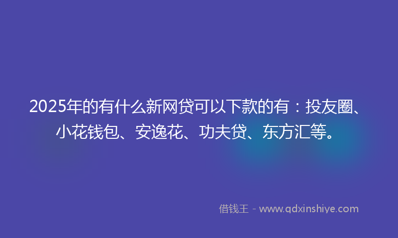 2025年的有什么新网贷可以下款的有：投友圈、小花钱包、安逸花、功夫贷、东方汇等。