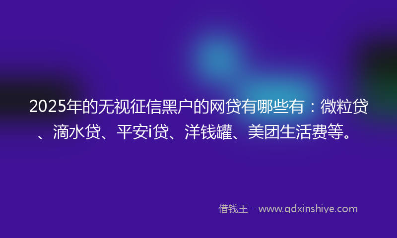 2025年的无视征信黑户的网贷有哪些有：微粒贷、滴水贷、平安i贷、洋钱罐、美团生活费等。