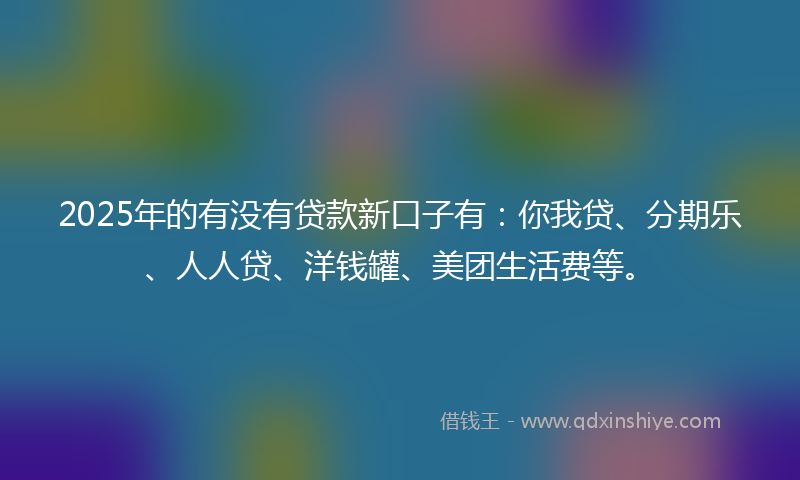 2025年的有没有贷款新口子有：你我贷、分期乐、人人贷、洋钱罐、美团生活费等。