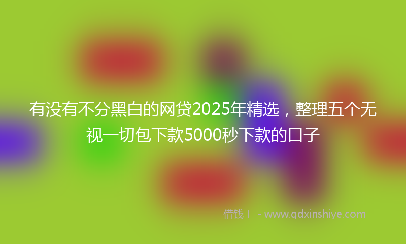 有没有不分黑白的网贷2025年精选，整理五个无视一切包下款5000秒下款的口子